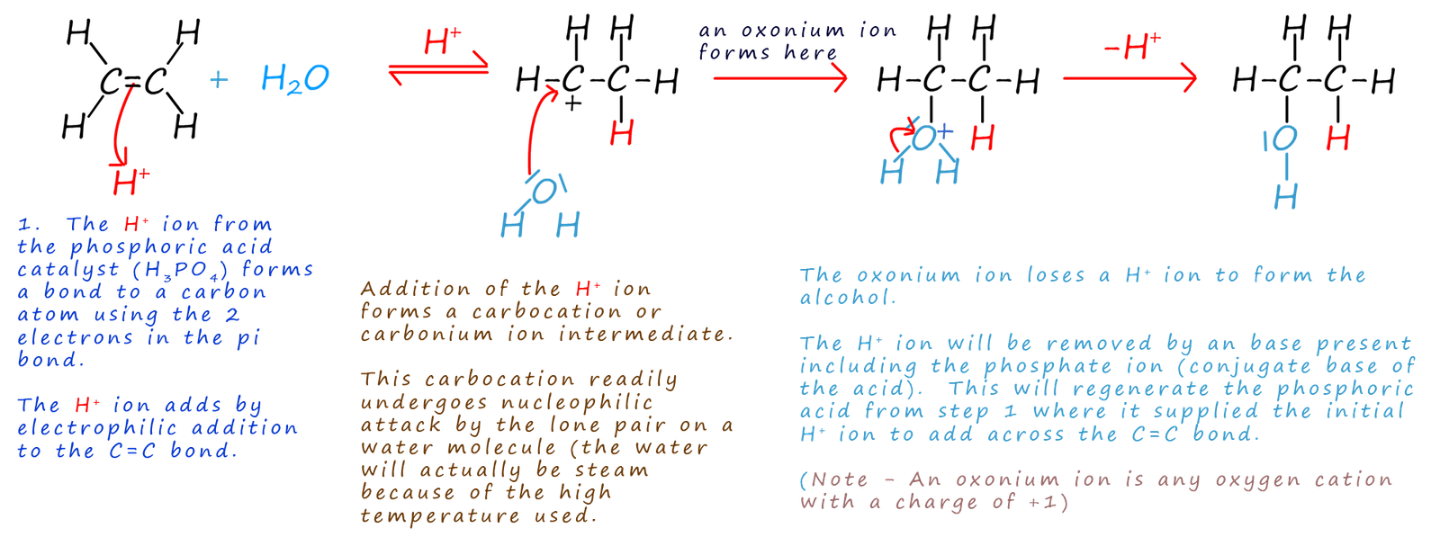 Mechanism for the hydration of ethene to ethanol using a phosphoric acid catalyst.